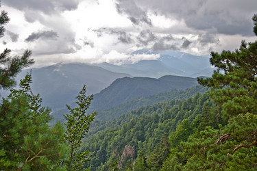 Similar image 1030266