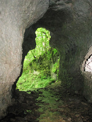 Similar image 1030267