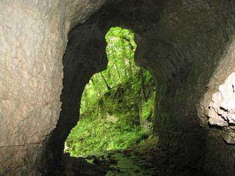 Similar image 1030269