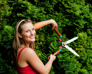 Similar image 1030274