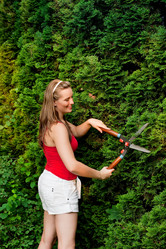 Similar image 1030278