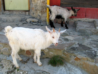 Similar image 1030280