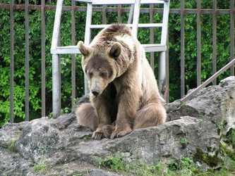 Similar image 1030363