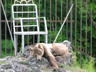 Similar image 1030364