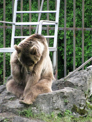 Similar image 1030366