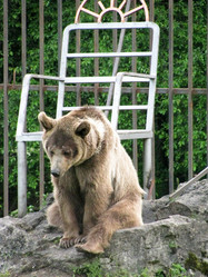 Similar image 1030368