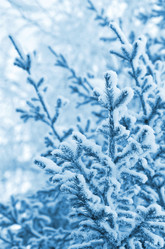 Similar image 1030389