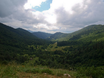 Similar image 1030401