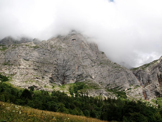 Similar image 1030403