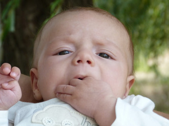 Similar image 1030495