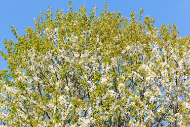 Similar image 1030553