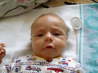 Similar image 1030707