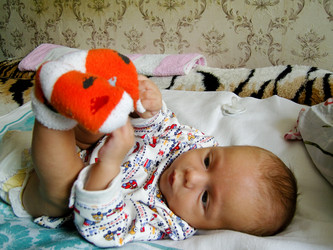 Similar image 1030725