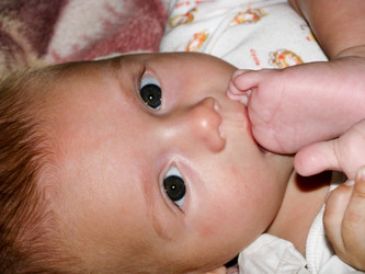 Similar image 1030758