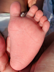 Similar image 1030782