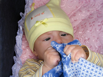 Similar image 1030791