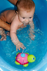 Similar image 1030800