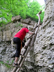 Similar image 1030816