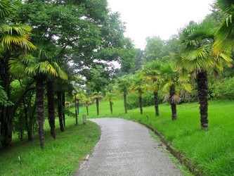 Similar image 1030829