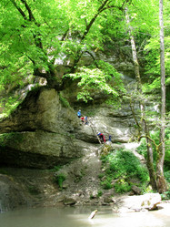 Similar image 1030832