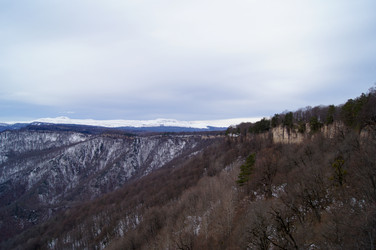 Similar image 1030853