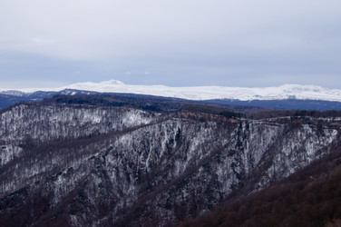 Similar image 1030855