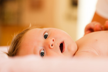 Similar image 1031121