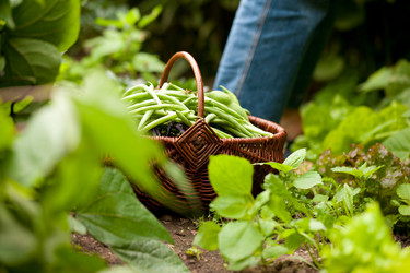 Similar image 1031178