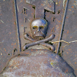 Similar image 1031274