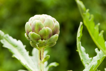 Similar image 1031369