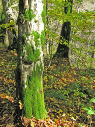 Similar image 1031446