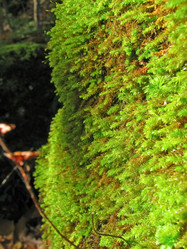 Similar image 1031447