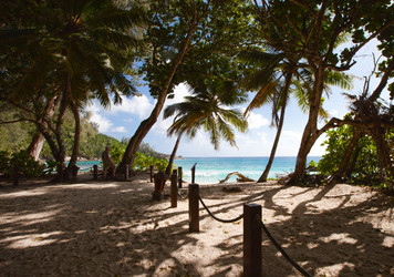 Similar image 1031497