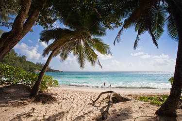 Similar image 1031498