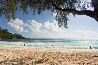 Similar image 1031501