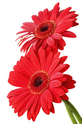 Similar image 1031512