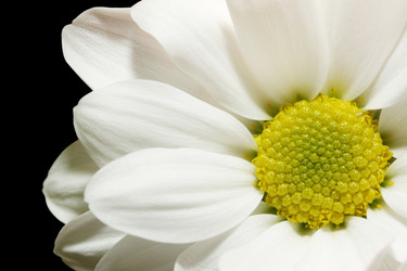 Similar image 1031519