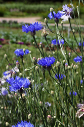 Similar image 1031521