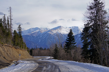 Similar image 1031522