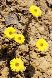 Similar image 1031525