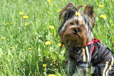 Similar image 1031528