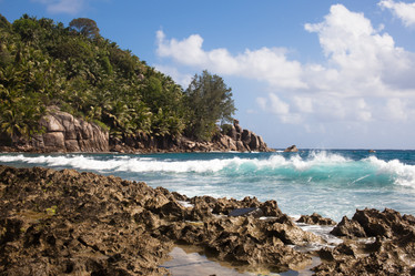 Similar image 1031538