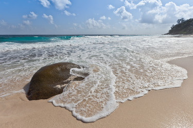 Similar image 1031544