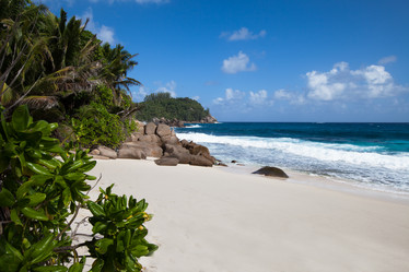 Similar image 1031554