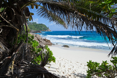 Similar image 1031555