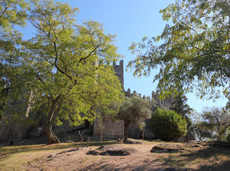 Similar image 1031652