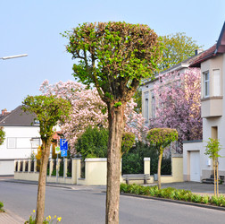 Similar image 1031665