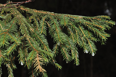 Similar image 1031685