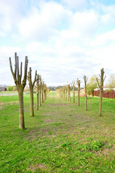 Similar image 1031691