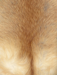 Similar image 1031706